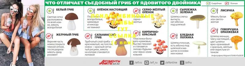 где можно купить   кракен как войти  Псилоцибиновые грибы Cubensis  Балтийск 